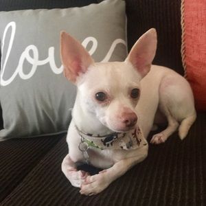 Meet your Posher, Irina